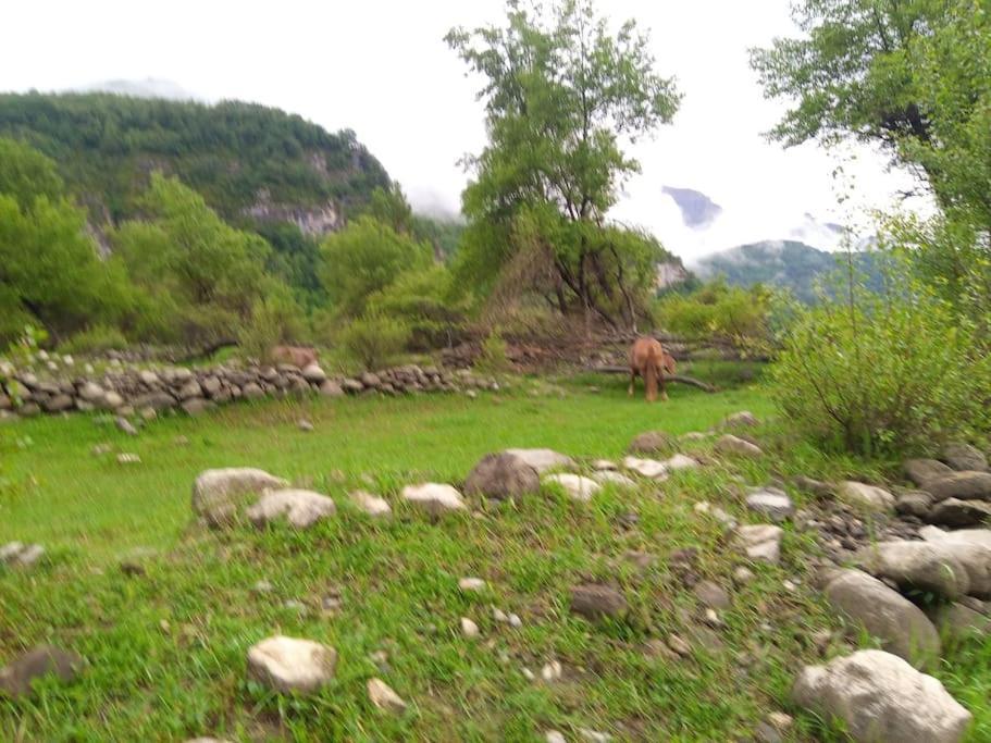 Apartmán Atico En Pleno Pirineo El Pueyo de Jaca Exteriér fotografie